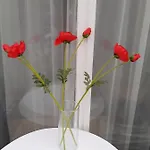 Tinka Haz شقة *