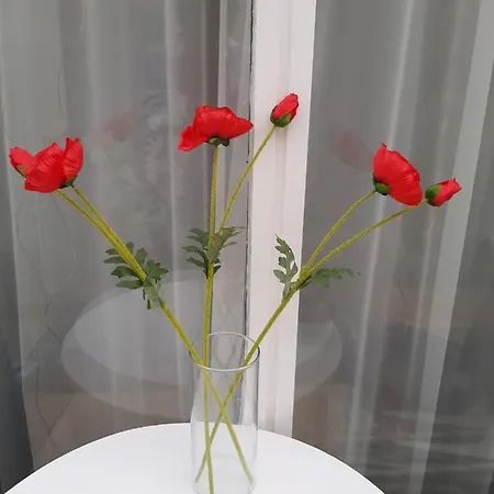 Tinka Haz Апартаменты *