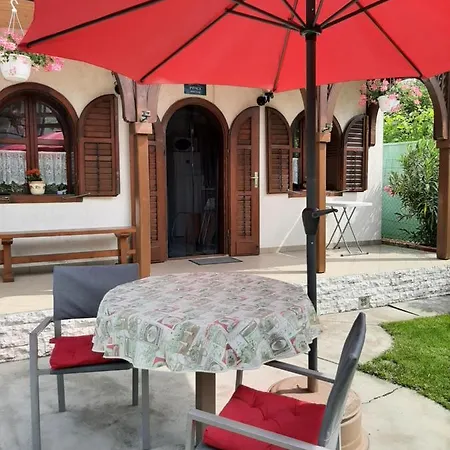 Tinka Haz Σίοφοκ