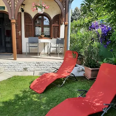 Tinka Haz Σίοφοκ