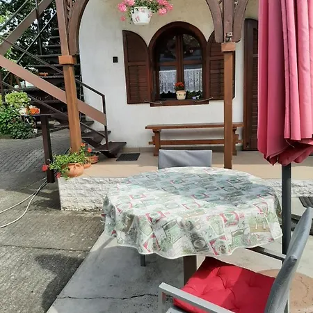 Tinka Haz * Σίοφοκ