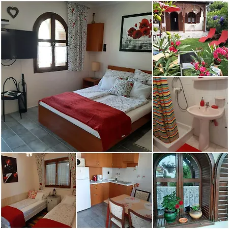 Tinka Haz * Σίοφοκ