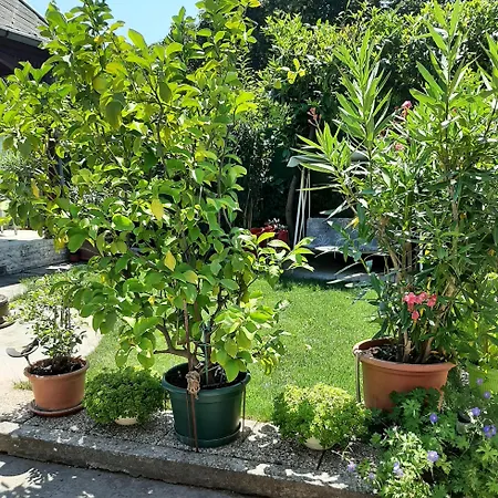 Διαμέρισμα Tinka Haz