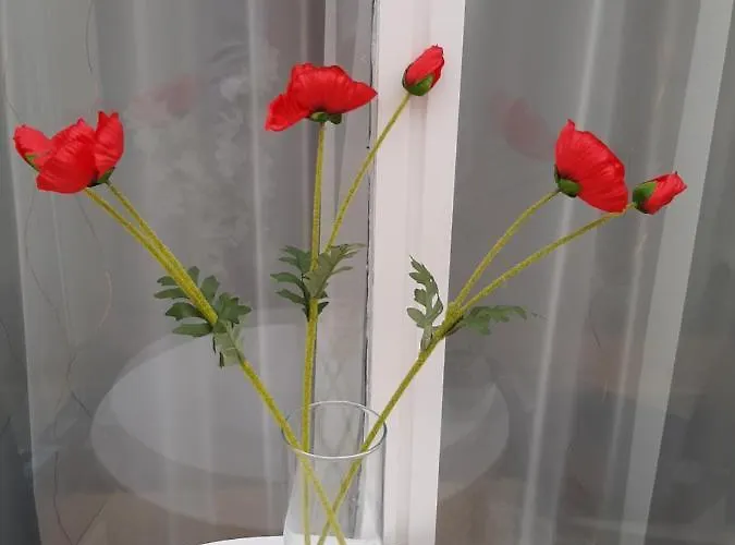 Tinka Haz Appartement *