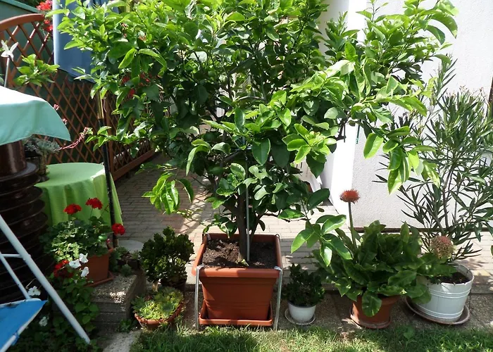 Tinka Haz Appartement